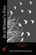 At a Winter's Fire