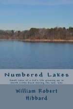 Numbered Lakes: Small tales of a kid's life growing up in North Little Rock during the late '60s