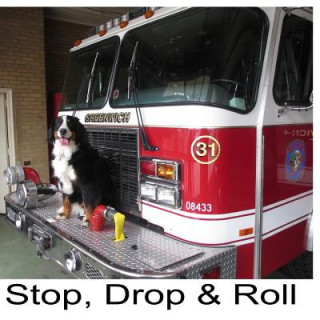 Stop, Drop & Roll