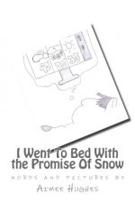 I Went To Bed With the Promise Of Snow