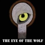 The Eye Of The Wolf