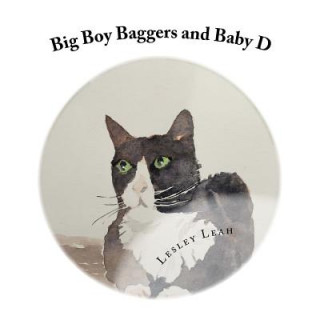 Big Boy Baggers and Baby D: The story of the Big Bold Tom Cat and the Baby who became best friends