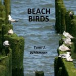 Beach Birds