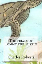 The trials of Tommy the Turtle