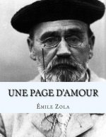 Une Page d'Amour: Les Rougon-Macquart. Histoire Naturelle et Sociale d'une Famille sous le Second Empire, vol 8