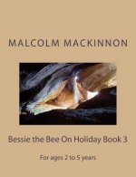 Bessie the Bee On Holiday Book 3: For ages 2 to 5 years