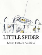 Little Spider