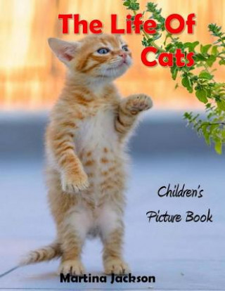 The Life Of Cats: Children's Picture Books (Ages 2-6)