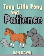 Tony Little Pony and Patience
