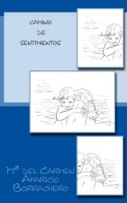 Camino de sentimientos