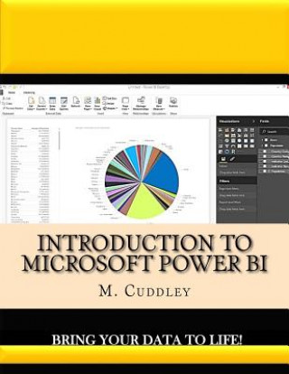 Introduction To Microsoft Power BI: Bring Your Data To Life!