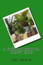 A Guide to Indoor Plant Care