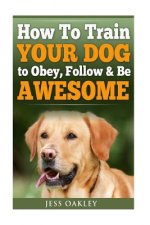 How To Train Your Dog To Obey, Follow & Be Awesome