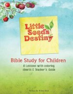 Little Seed's Destiny: Bible Study for Children