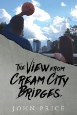 The View from Cream City Bridges