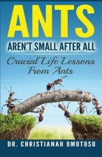 Ants Aren't Small After All: Crucial Life Lessons From Ants