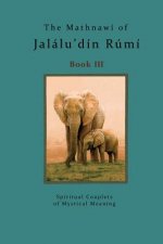 The Mathnawi of Jalalu'din Rumi Book 3