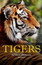 Tigers: Amazing Facts & Pictures
