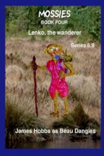Lenko the wanderer Series 6.9