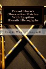 Paleo-Hebrew's Observation Matches With Egyptian Hieratic Hieroglyphs