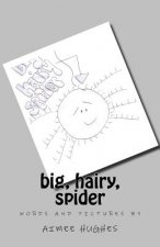big hairy spider