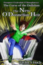 The New O'Donnellan Heir: Curse of the Dullahan - Vol 1