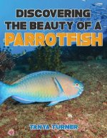 DISCOVERING THE BEAUTY OF A PARROTFISH Do Your Kids Know This?: A Children's Picture Book