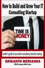 How to build and grow your IT Consulting startup: Insider's guide to successful consultancy business startup