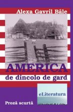 America de Dincolo de Gard: Nuvele