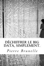 Déchiffrer le Big Data, Simplement.: Acquérir les outils pour agir, de la réflexion ? l'usage.