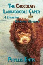 Chocolate Labradoodle Caper