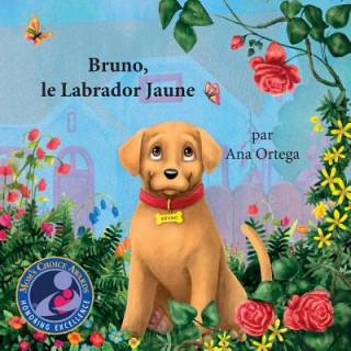 Bruno, le Labrador Jaune