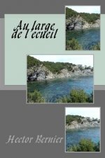 Au large de l'ecueil