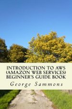 Introduction to AWS (Amazon Web Services) Beginner's Guide Book: Learning the basics of AWS in an easy and fast way
