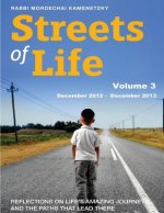 Streets of Life Collection Volume 3: Reflections on Life's Amazing Journeys and the Paths that Lead There