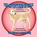 Adventures of Dixie the Three-Legged Dog