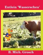 Entlein 'Wasserscheu'