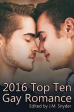 2016 Top Ten Gay Romance