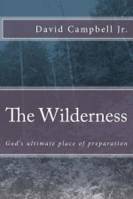 The Wilderness: God's ultimate place of preparation