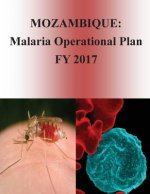 Mozambique: Malaria Operational Plan FY 2017 (President's Malaria Initiative)