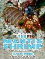 THE MANTIS SHRIMP Do Your Kids Know This?: A Children's Picture Book