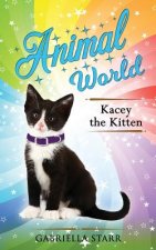 Kacey The Kitten