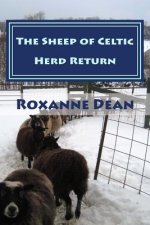 The Sheep of Celtic Herd Return: Ewe Are Still Thinking? Aren't Ewe?