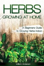 Herbs Growing at Home: A Beginner's Guide to Growing Herbs Indoor