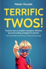 Terrific Twos!: Positive view on toddler's discipline. Effective tips and working strategies for parents.
