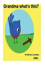 Grandma what's this?: A Baby Bird story