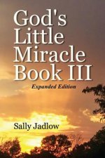 God's Little Miracle Book III