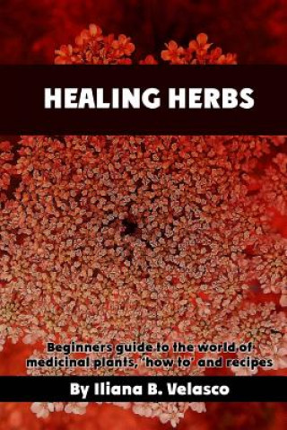 Healing herbs: Beginners guide to the world of medicinal plants, 'how to' and recipes