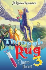 Through the Rug 3: Charm Forest