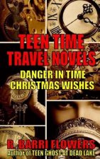 Teen Time Travel Novels 2-Book Bundle: Danger in Time and Christmas Wishes